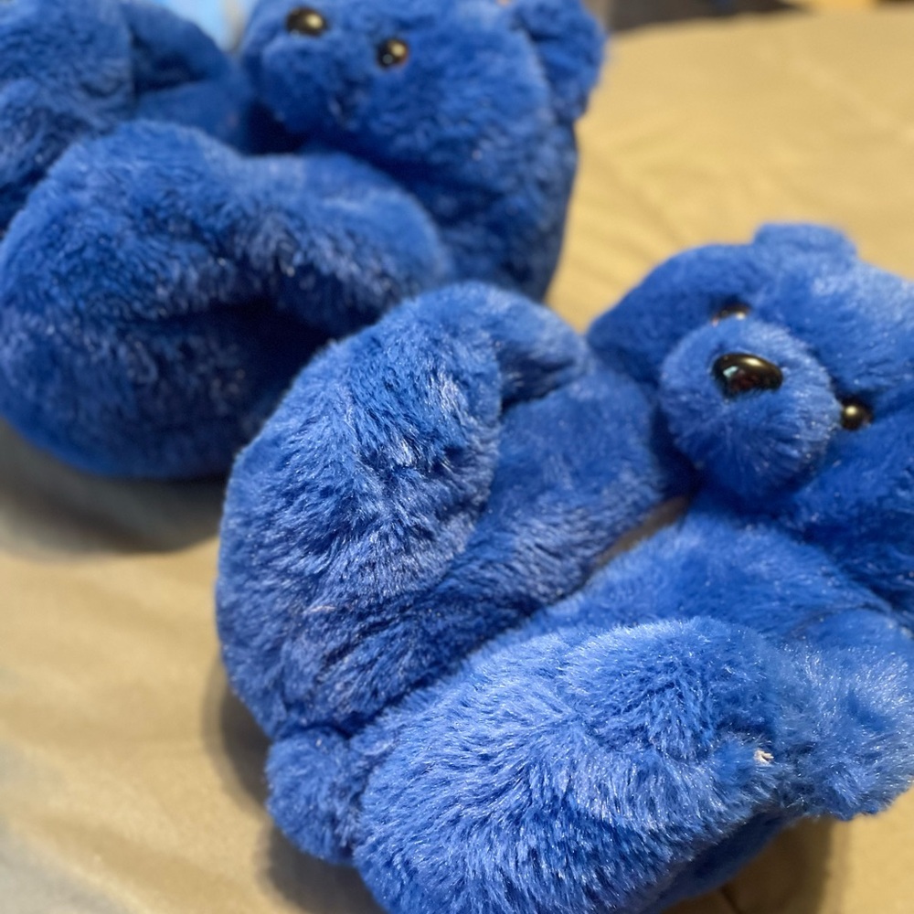 Blue bear slippers